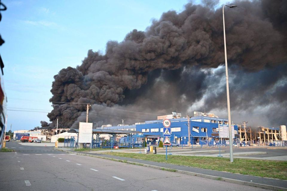 ���� ��������: ����������� ������ �� �������� ��� ������� (21.08.25): �������� - ����� �� ������� ����������� Flex