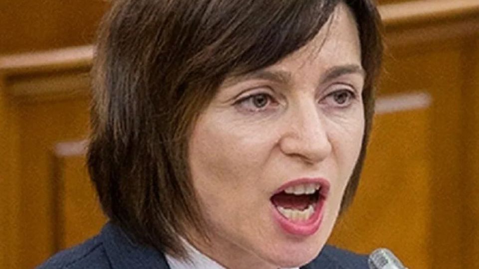 �����������, ������ ������ �����: ����������� ������� ����� � ��������� ��� �������� ������ � ������������ ����� ��������