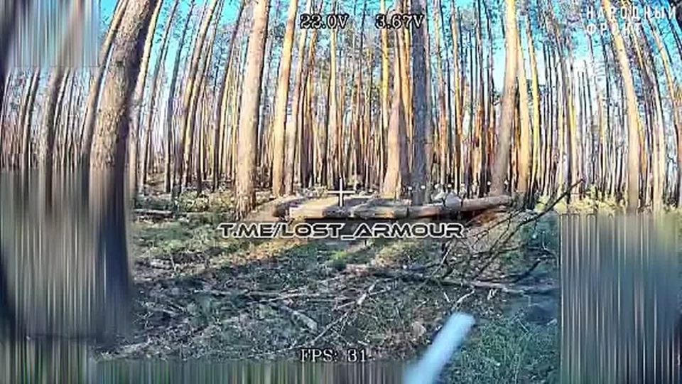 ��������� �������: ����������� �����. ����� ������ ������ ������ ����, �� ������ ��� �����������