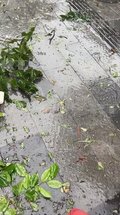 Сильный ураган накрыл китайский город Санья на юге острова Хайнань: с домов сдувает облицовку, ломает ветки пальм