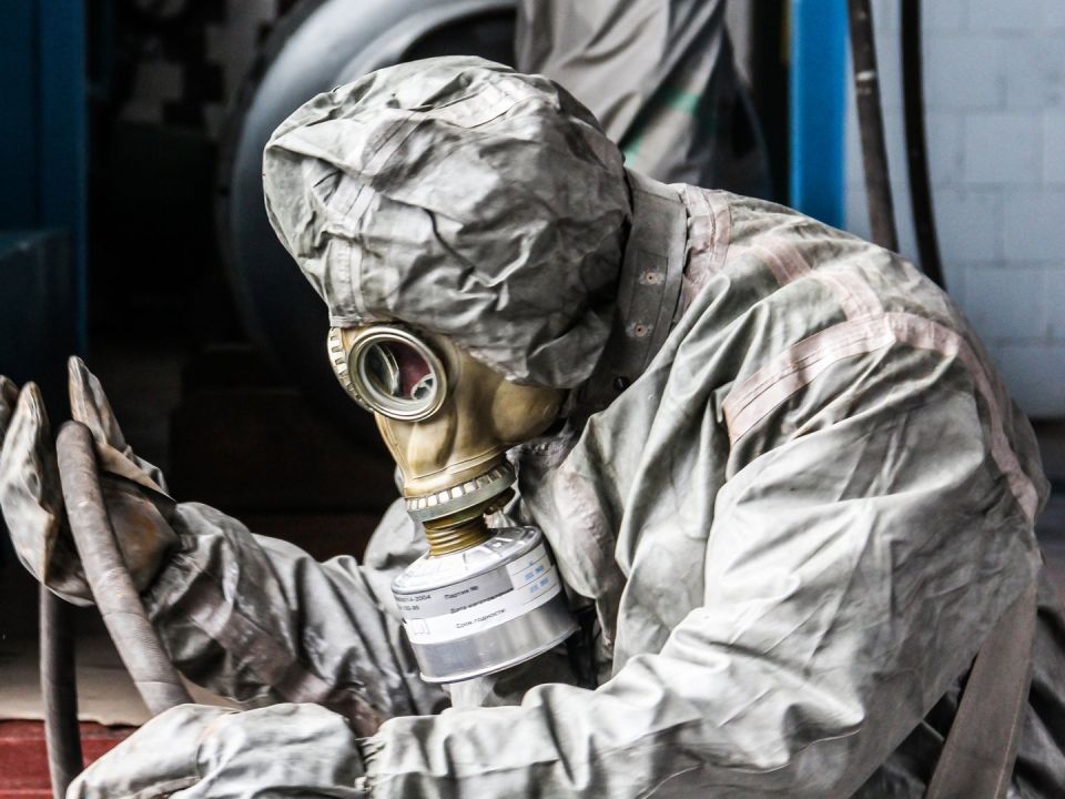 На Украине выявили незаконный агробизнес в Чернобыльской зоне