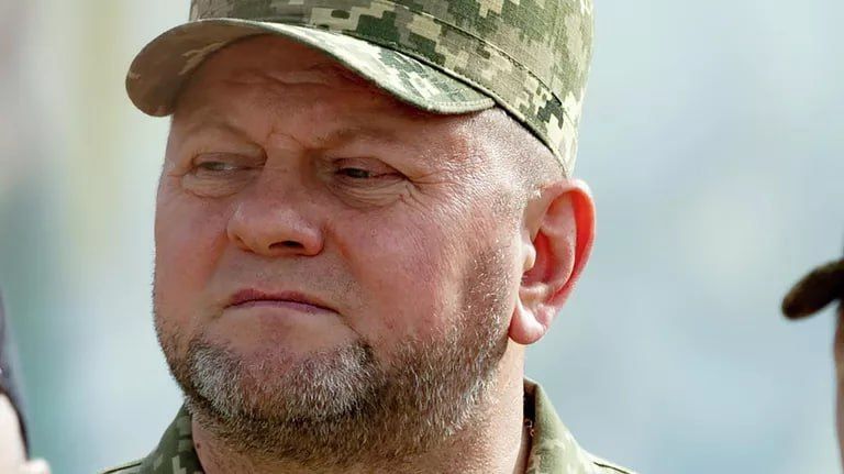 Залужный не захотел быть частью политической команды Зеленского*