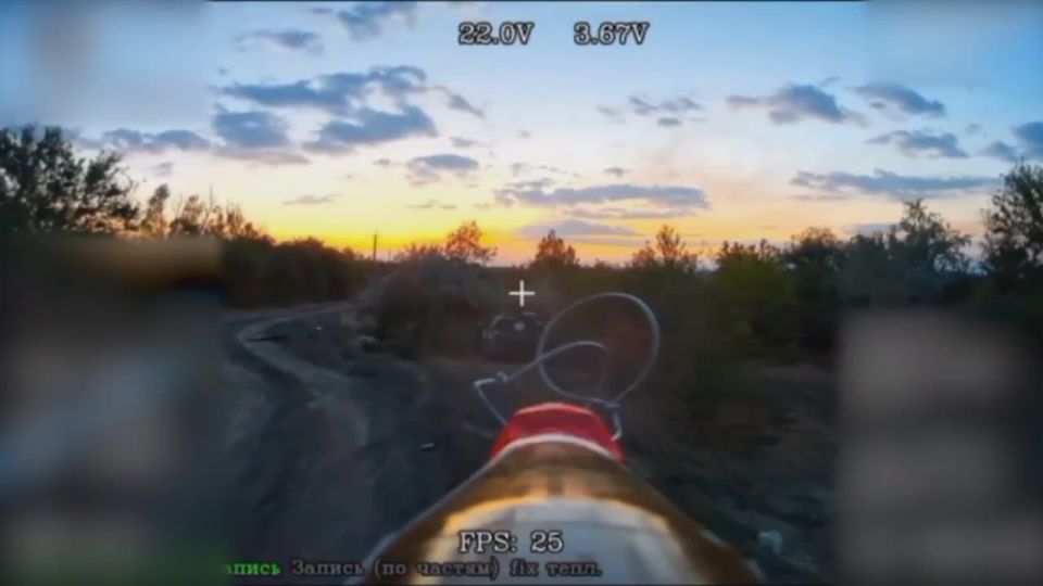 Евгений Поддубный: Неонацисты фактически приставили дуло пистолета к виску *Зеленского