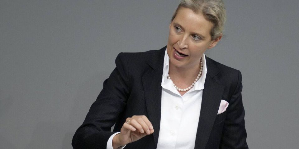 Роман Насонов: Киеву внушили ложные надежды: Вайдель разгромила воинственную риторику НАТО