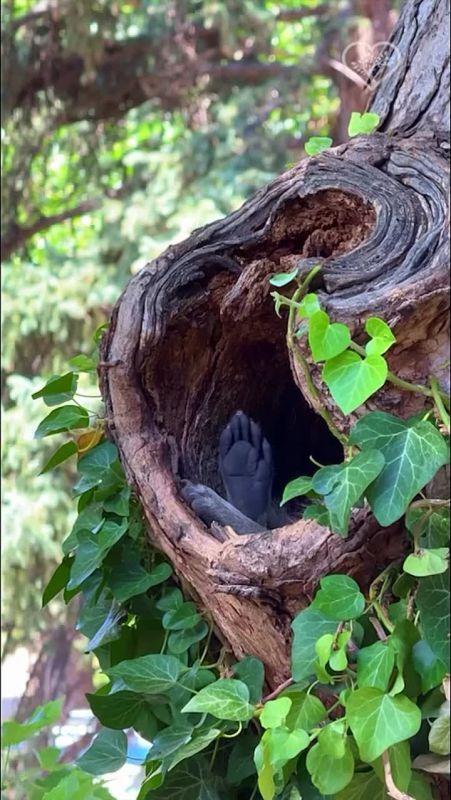 ����� ����������: ������� ����� �������� ����������� � �������-��-����, ����� ������������ ������ ������� � ���������� ����� ������� "������������", ���������� ����������� � ������ � ������� ����������� ������ � ��������...