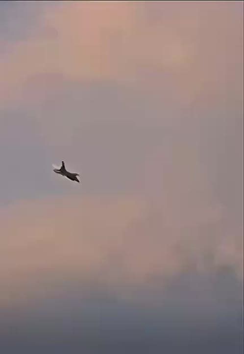 Кадры авиакатастрофы в Польше с другого ракурса