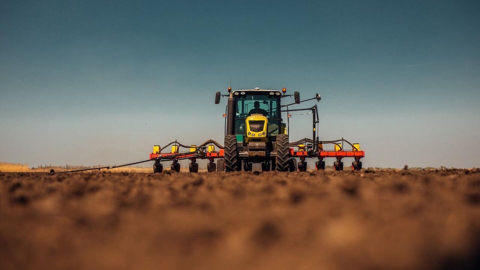 ������� "������� ��� ���� ������" �� ��������: ������������� ������ � �������������� ������ �����