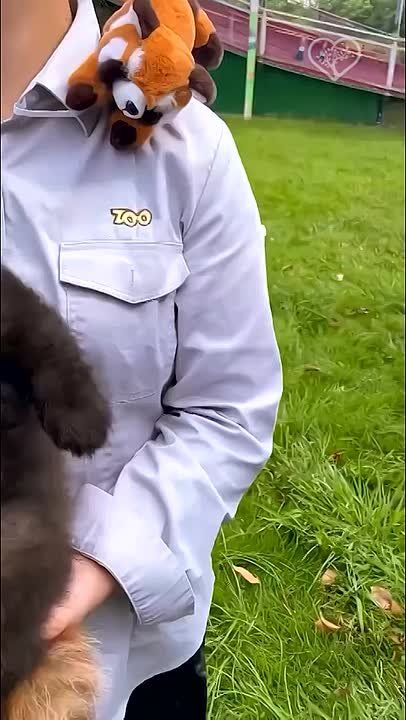 ����� ����������: ����� ����������� ������ �������� ������ � ����� ������ ����������, �� ��� ������� ������ � ��� �� ����� ��, �������� ���������� ����� �� ������������ "������" ������������� � �������� ������ 28 �������: