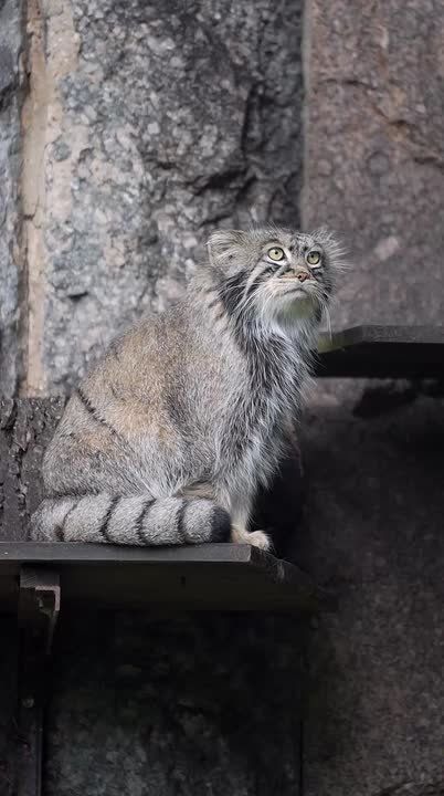 ����� ����������: ��� ���������� �������� ������ �������� � ���, ��� ����� ��������� ���������������� ������� ��� ���, ���������� ������� ����� ������ � ������ "����������" � �������� ������ 29 �������: