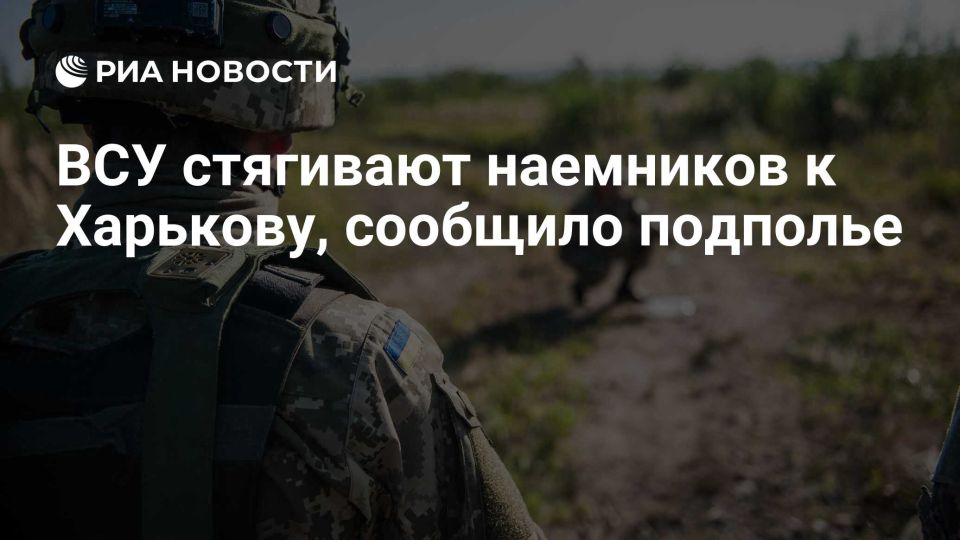 Сергей Лебедев: Сопротивление Харькова сообщает о большом наплыве чернокожих военных