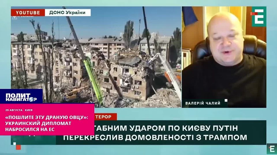 «Пошлите эту драную овцу»: укро-дипломат набросился на ЕС. Евросоюз должен незамедлительно конфисковать и передать Украине 300 милилардов замороженных российских активов