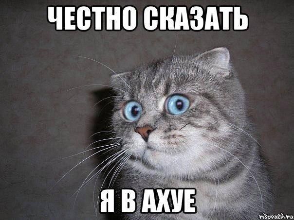 ���� ��������: ��������� �������� �����, ������� ���������� �� ��������������� ������ ������ �������