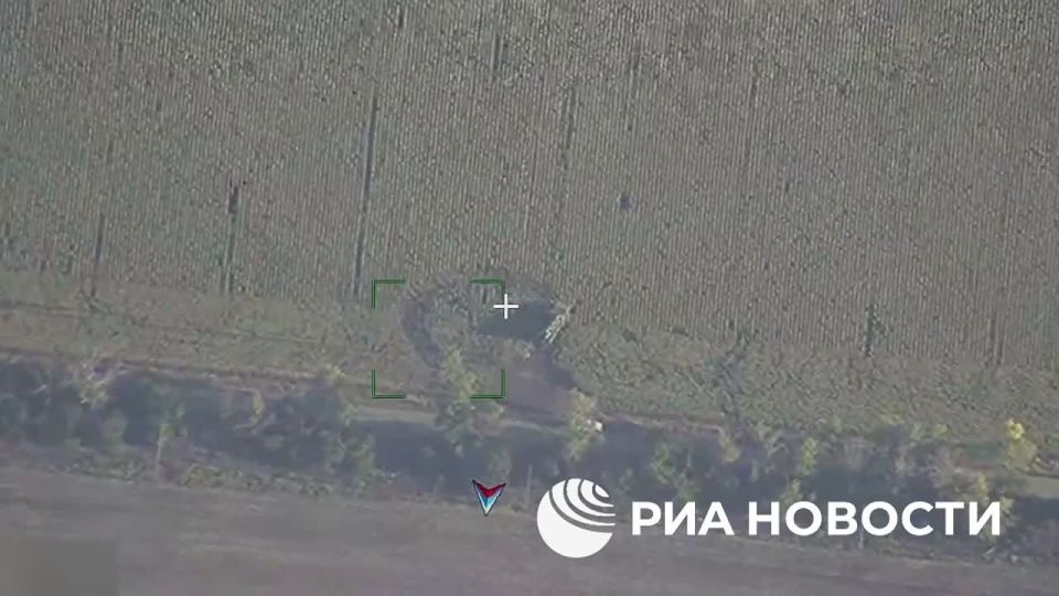 ВС России нанесли семь групповых ударов по Украине с 23 по 29 августа