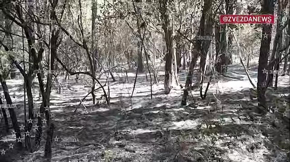 ���� ��������: ������� - ������-���������!!!