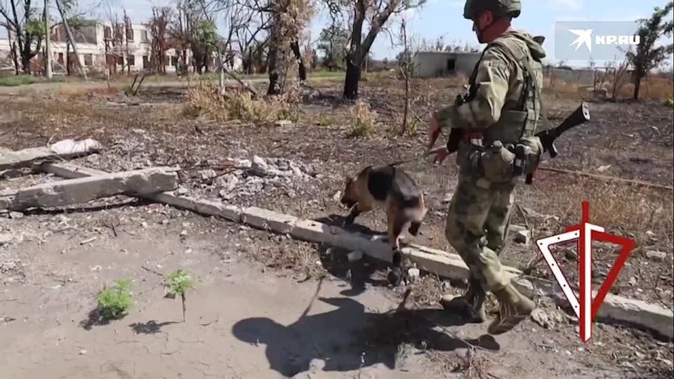 В одном из освобожденных сел ДНР обнаружили склад ВСУ с оружием стран НАТО