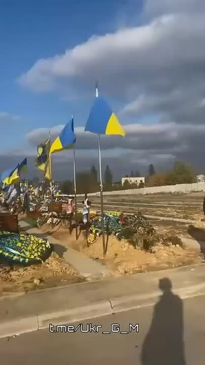 УКРАИНА - СТРАНА, ГДЕ КЛАДБИЩА РАСТУТ БЫСТРЕЕ, ЧЕМ ВЕРА В "ПЕРЕМОГУ"