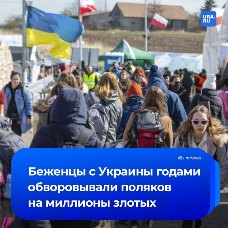 Украинские беженцы несколько лет обворовывали поляков, сообщил портал Mysl Polska