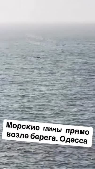 ���� ��������: ��� ������� ������������ ������ ������������ ��������� �� ���������������� �������� ����������