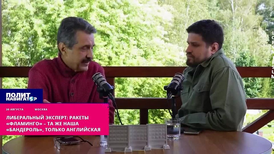 Либеральный эксперт: Ракеты «Фламинго» – та же наша «Бандероль», только английская