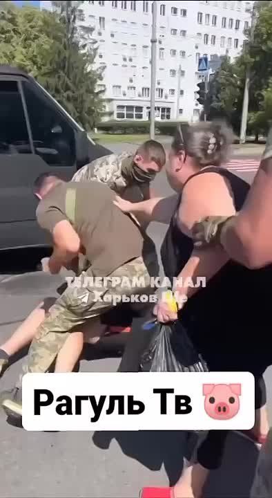 ������ ���������: ���������� � �� �������.. ��� ������� ����������!