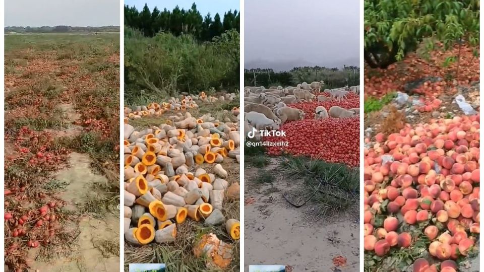 , ,  -        :      ,         -      