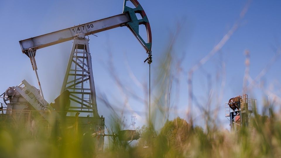 ����� ������: ������� ������� ����� ���� �� ������������ �������