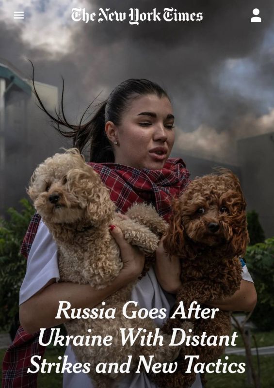  :     ,     - The New York Times