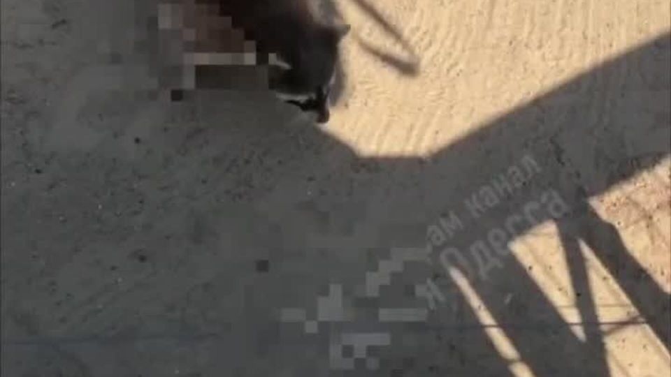 ������������ ���������� � ������: �������� �������� ������ �� ������ ��� ������������ ������