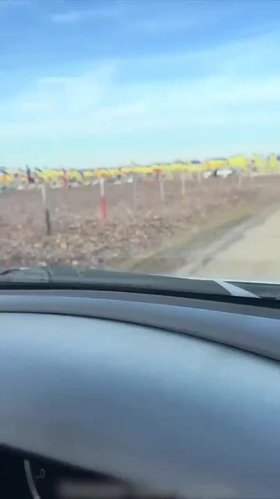 ����� �������. ��������� ���������� ���������� ���������