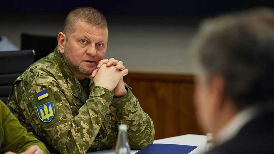 �������� ������ �������� ��������� � �������� �� "�������� �������"