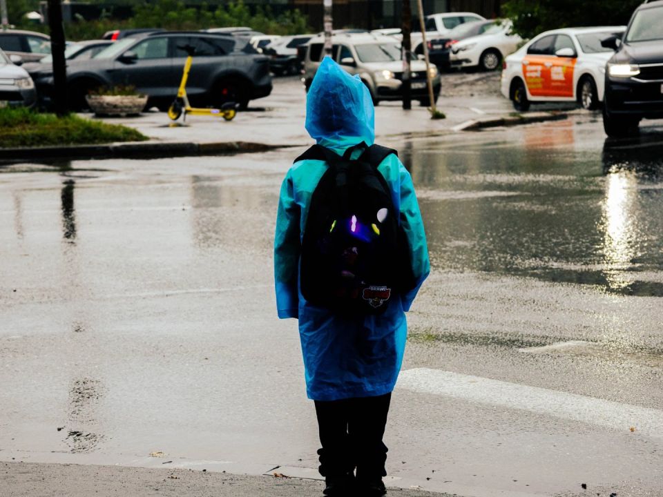 � ����������� ���� ������������* ����� 13-������ ��������