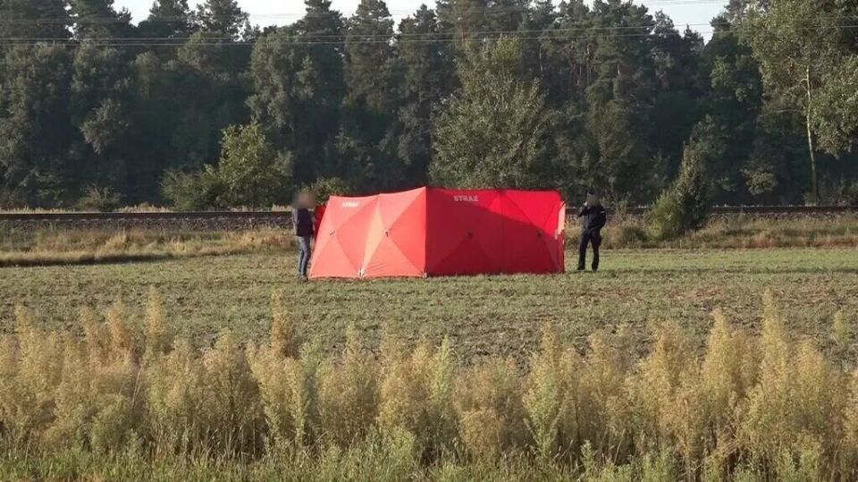 � ������ ����� ��� ���� ������� ����