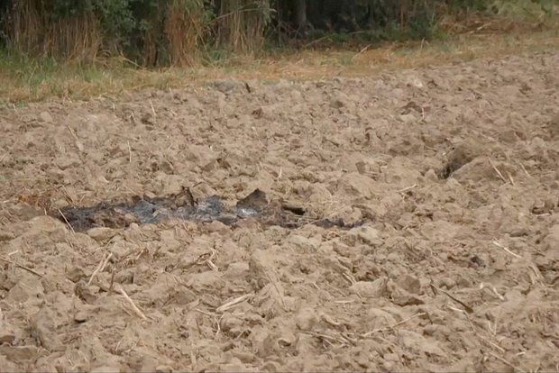 Депутат Чепа допустил провокацию с беспилотниками в Польше