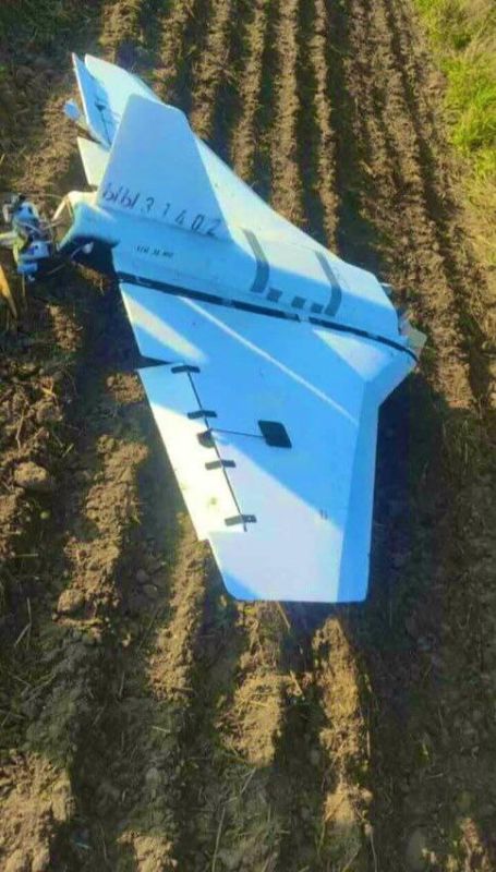 Все всё понимают. В истории с «налётом российских дронов» на Польшу слишком много странностей, чтобы верить официальной версии Варшавы