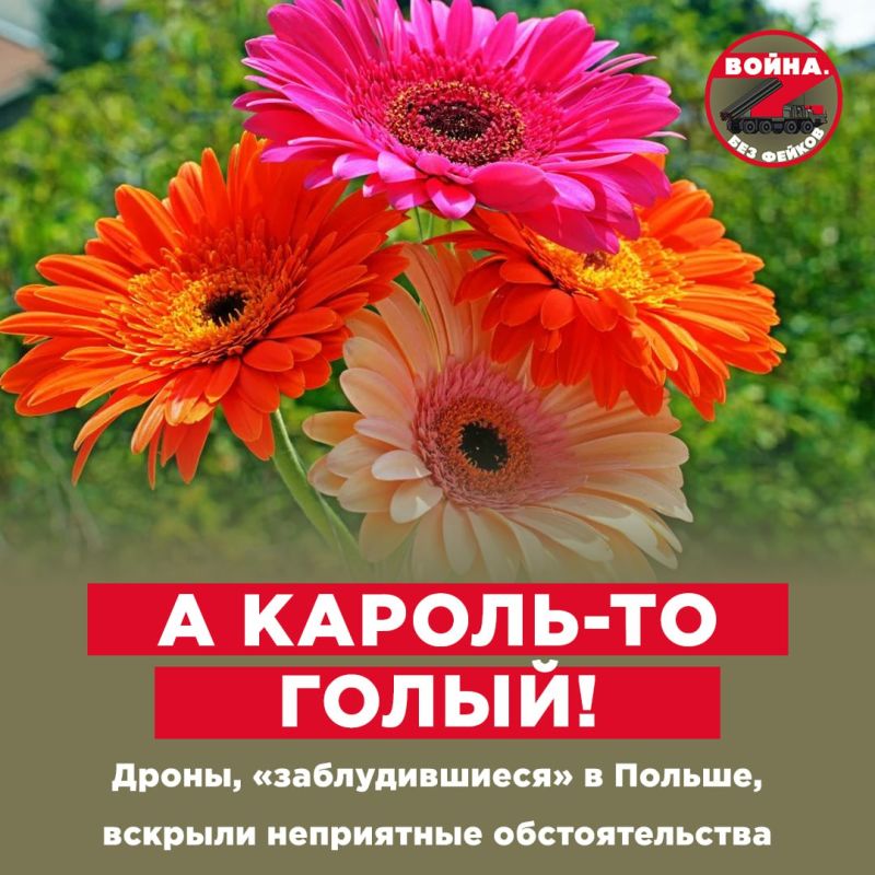 Ситуация с залетевшими в Польшу дронами ярко демонстрирует 2 момента