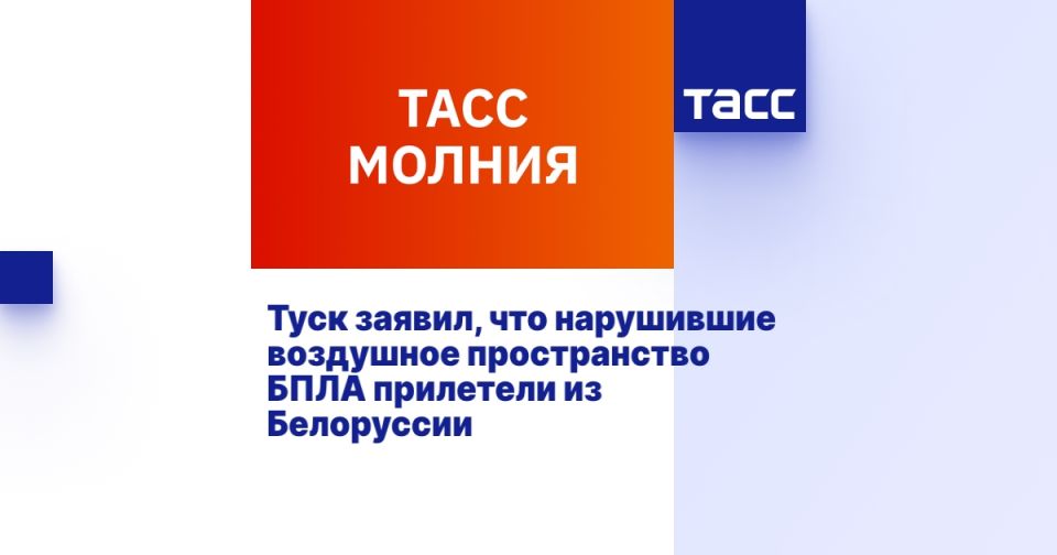 Туск заявил, что нарушившие воздушное пространство БПЛА прилетели из Белоруссии