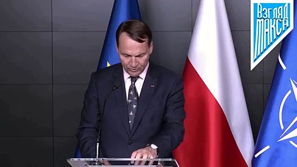 Министр иностранных дел Польши Радослав Сикорский:
