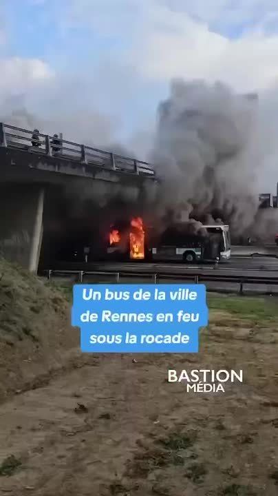 ���� ��������: ���������� ���������� ������� ����� �������-��������� ������� ����� ������ ���������� ������������� �������, ������������ ��������� ������� �����