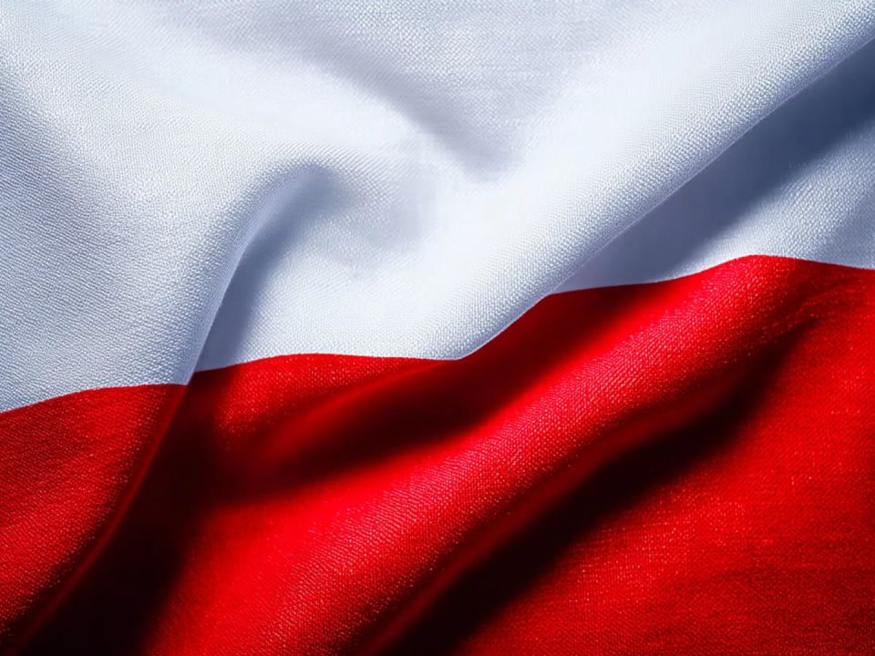 Глава МИД Польши: нарушившие границу дроны прилетели и с территории Украины