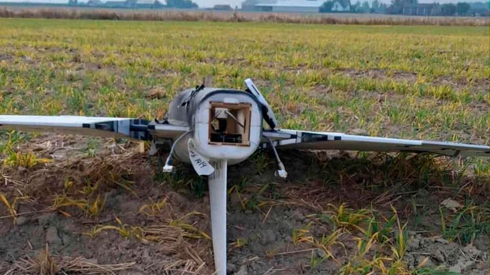 ��������� ������: ����������� ���� ���� ���� �������� �� ��������� �������, � ����� ���� 3 �� 19