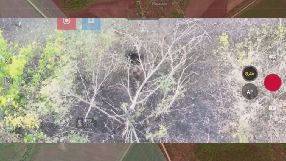 ������ �������: ���� �����: �� �� ����� ������������ ���� "�����" ��� ������������ ��������