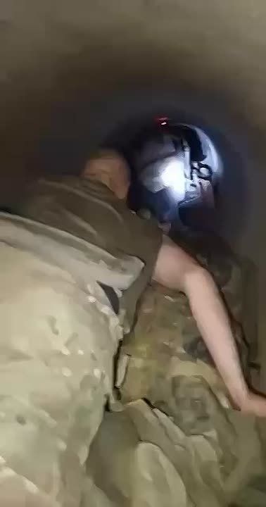 ���� �������: ������������ �� ����� �������� �������� ���