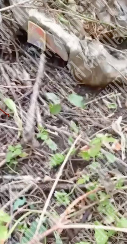 ���������� ���� � ���. �� ���������������� ����������� ������������� ������ ���������� ���� ��������������� �������� ��������