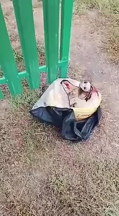 ������ ��������: ���������� �����, ��� ������ ������ ������������ � ���������� �������, ��������� ���� ������, � ���������� ������� ����� ������� �������� ���� � �� �� ����� � ������� � ����� � ������ �� ����, �������� �...