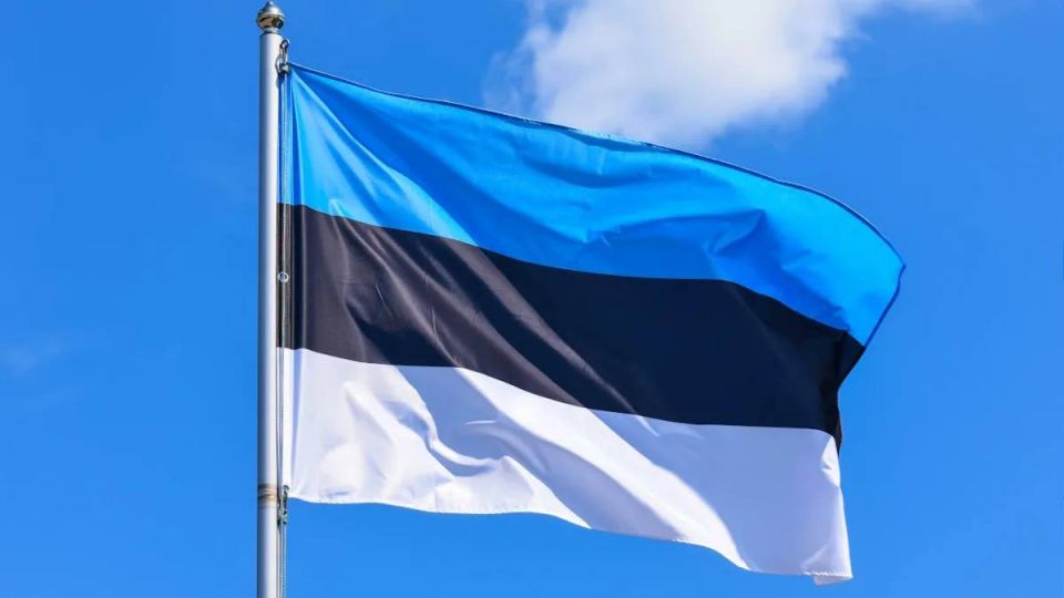 Эстония выделит Украине более €100 млн в 2026 году, что составляет не менее 0,25% ВВП страны, — ERR со ссылкой на министра обороны Эстонии Ханно Певкур