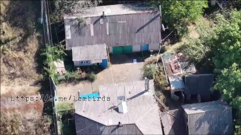 ���������� ����� ���������� ��������� ����������� �� ���� �������� ������������