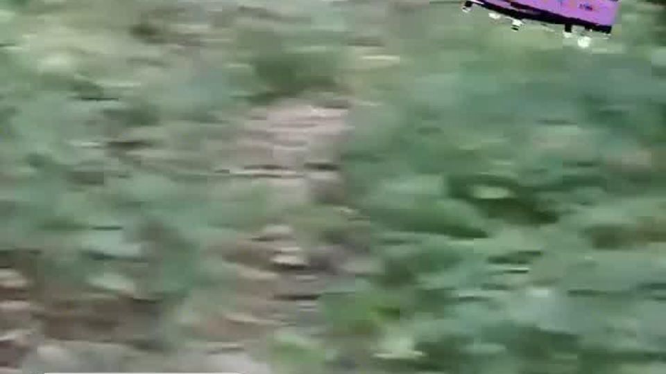 �� �������� � ����������� ���������� ���������� �����