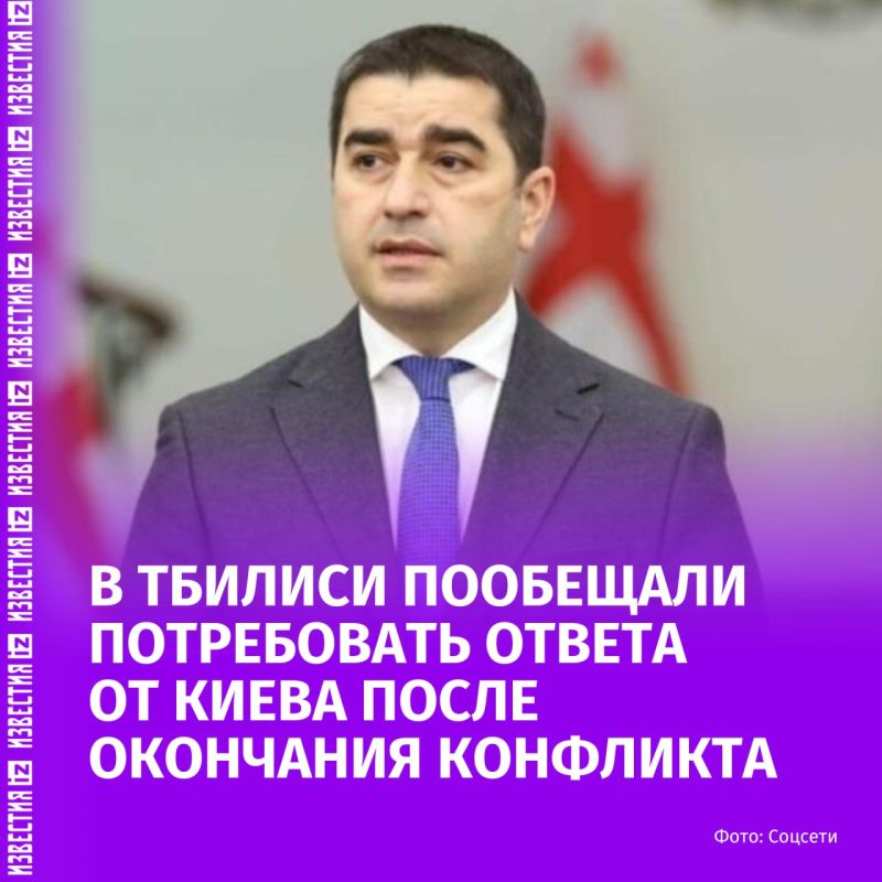 Власти Грузии потребуют ответа от руководства Украины за недружественные шаги, когда окончится военный конфликт, заявил спикер парламента Грузии Шалва Папуашвили