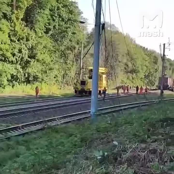  : 155         ,       Mash