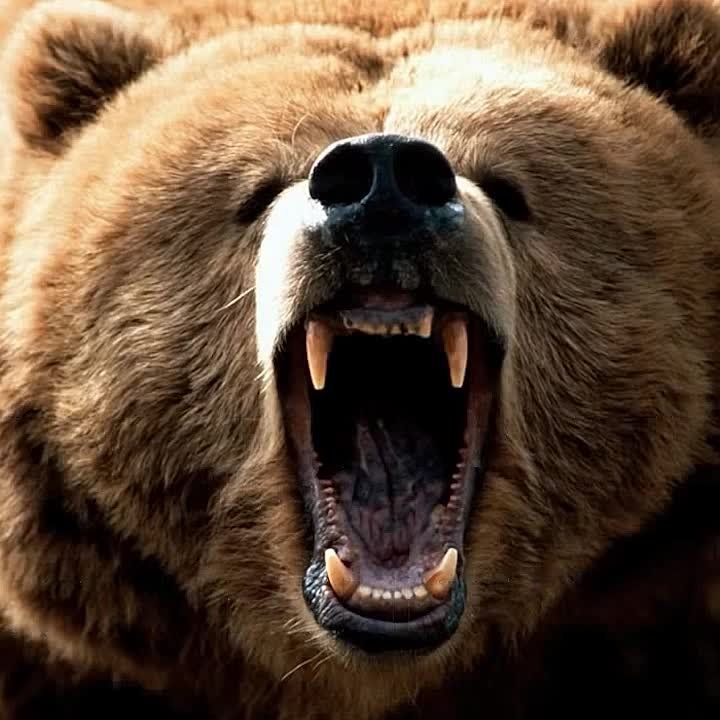 Предатель Лев Ступников, на совести которого более 200 смертей наших военных, постил в соцсетях патриотичные видео в ответ на угрозы Запада России